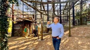 Олег Зубков презентует НОВЫЙ ВОЛЬЕР для шимпанзе в зоопарке «Сказка», это надо видеть!!!