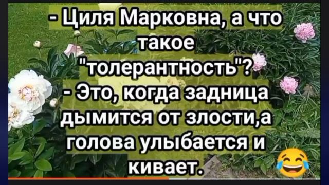 Анекдоты,юмор для хорошего настроения