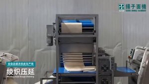 Полностью Автоматизированная Производственная Линия по НеПреРывной Прокате и Упаковке СвежеМороже