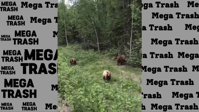 ЧЕМ СТРАШНА ЖЕНСКАЯ ИЗМЕНА