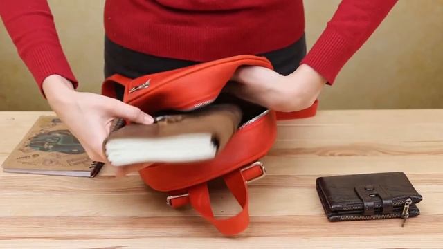 Видеообзор женского рюкзака SHVIGEL 16327 смотреть онлайн