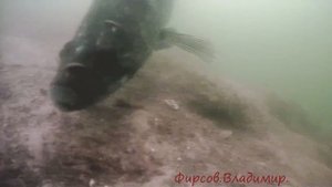 вован