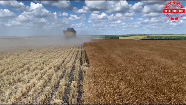 Сбор льна 2020 на полях ТЕХНОПОЛЬ-АГРО  Flax harvest 2020