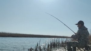 ПОКЛËВКА САЗАНА!!СИГНАЛИЗАТОР СРАБОТАЛ))ВЕСЕННЯЯ ЛОВЛЯ НА ДОНКУ, УДОЧКУ И МАКУШАТНИК))2025