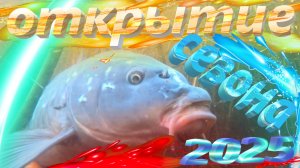 ПОДВОДНАЯ ОХОТА НА САЗАНА ВЕСНА 2025г ОТКРЫТИЕ СЕЗОНА