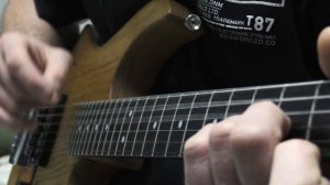 Electric Guitar Chic Solo Красивое соло на электрогитаре Metal Cover DJ Taurus