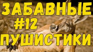 Я РЖАЛ ДО СЛЕЗ 😹 СМЕШНЫЕ КОШКИ И СОБАКИ / СМЕШНЫЕ ЖИВОТНЫЕ 2023 😹 ЛУЧШИЕ ПРИКОЛЫ #12