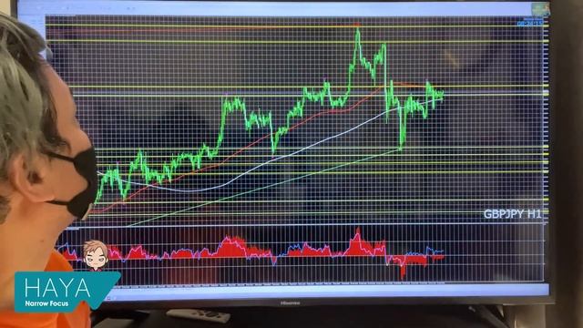 2月16日 海外FX 億トレーダーHAYAの相場考察【レンジ対応はスキャルで、トレンド押し目、転換狙いはスイングで】 смотреть онлайн