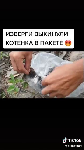ИЗВЕРГИ ВЫКИНУЛИ КОТЕНКА В ПОКЕТЕ смотреть онлайн