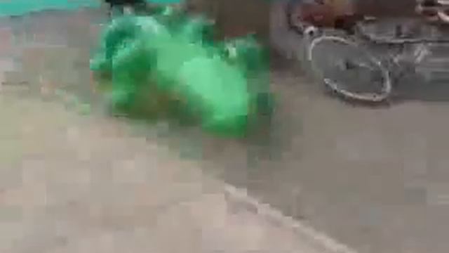 Plastic Alligator Attacks a Dog