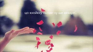 Элина Муртазова Са дахар