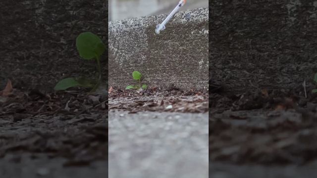 "ВИЧ — не приговор! В этом видео мы расскажем о том, как защитить себя и близких.