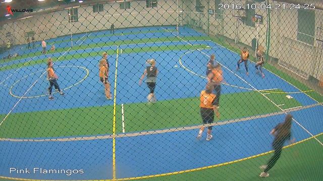 309647 Wembley Willows Sports Centre Cam6 Pink Flamingo's v Fireballs Wembley Willows Sports Centr смотреть онлайн