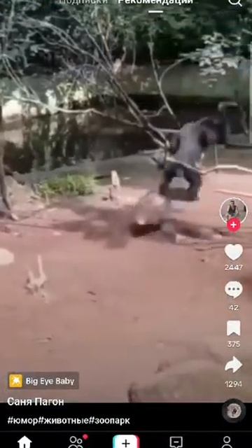 Я дикобраз🐗😡 смотреть онлайн