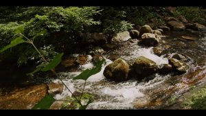 BMPCC4K M.ZUIKO DIGITAL ED 12-100mm F4.0 IS PRO 2020 07 19