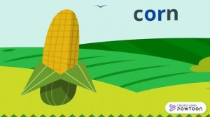 digraph or sound|digraph or words|Phonics