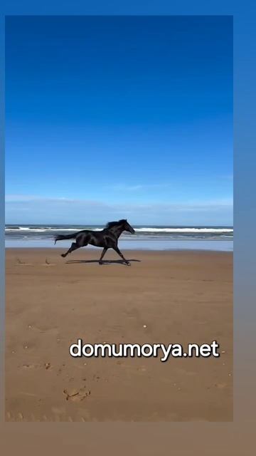 Море