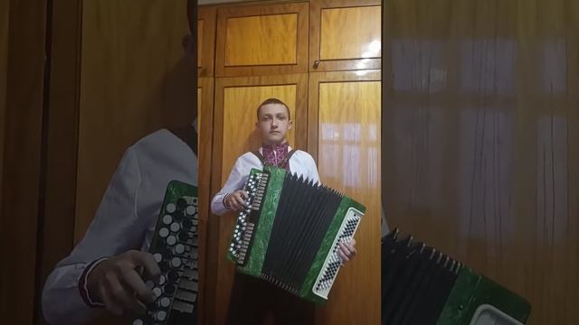 "Тече вода з-під явора" на баяні (пісня на слова Т. Г. Шевченка) смотреть онлайн