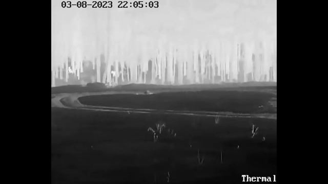 3 волка на приваде смотреть онлайн