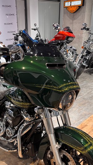 2019 Street Glide Keenetic Green