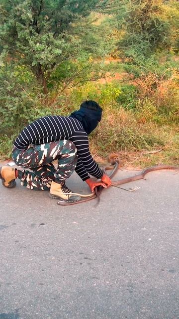 #shorts #ytshorts смотреть онлайн