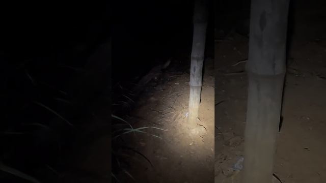 🔴 Explore Alas Dukun | Mata Channel смотреть онлайн