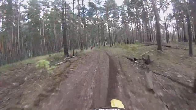 Ляпинские тропы - Лес 2 смотреть онлайн