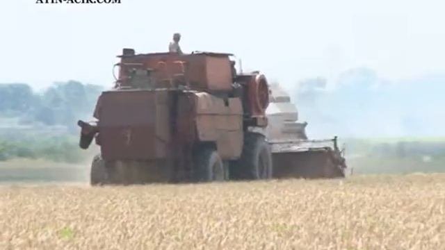 Георгий Пашалы директор 