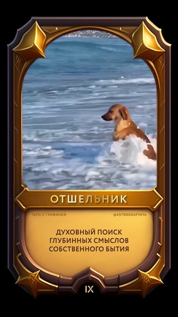 Отшельник в Таро. IX Аркан #shorts