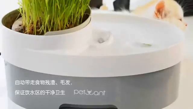 Petwant 3合1飲水機 смотреть онлайн