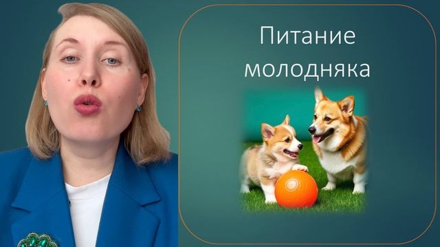 Рецепт здоровья питомца
