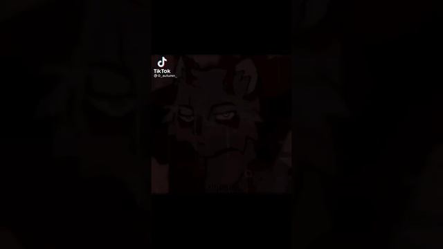 Коты Воители в Тик Токе 🥰😅 Часть 1 смотреть онлайн