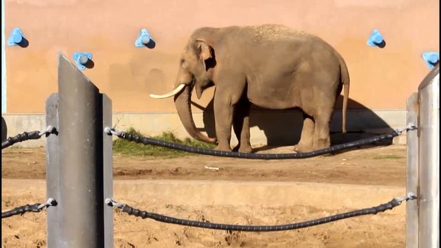 МОСКВА ОТПУСК 2016 смотреть онлайн