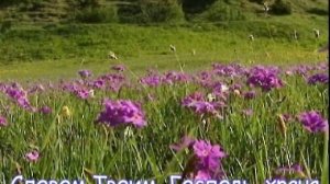 Вечность открыта пред нами - Елена Сальникова - Салова, сл. муз. Елены Сальниковой - Саловой