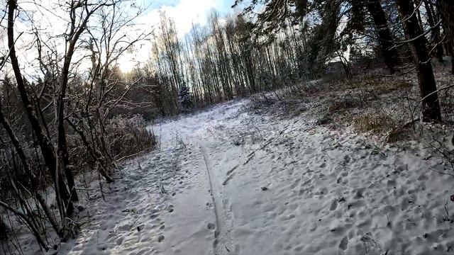 Прорвались в Талаево на фэтбайке.Красивые виды зимнего леса в солнечную погоду.Покатушка удалась. смотреть онлайн
