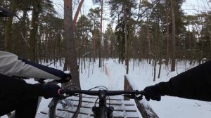 На Fox Trail через дебри Балашихи