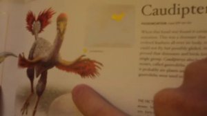 Jaden knows Dinosaurs part 1