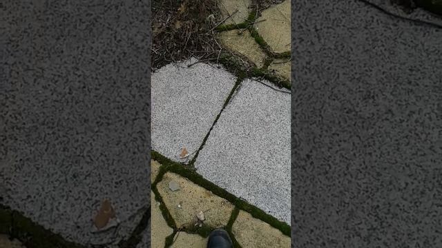 Sladba sliven смотреть онлайн