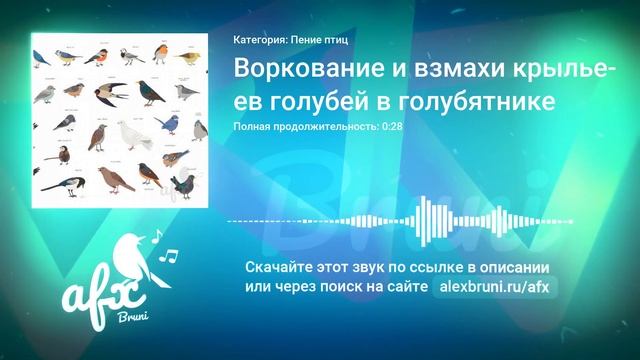 Звук: Воркование и взмахи крыльев голубей в голубятнике смотреть онлайн