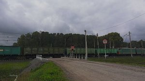 RailWay. Freight train on the Kuzbass railway crossing/Зелёный электровоз ВЛ10 проходит жд переезд