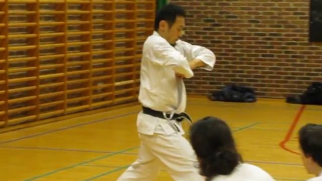 Yamaguchi-sensei demonstrates kata Junro nidan смотреть онлайн