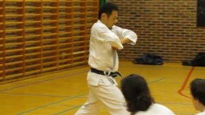 Yamaguchi-sensei demonstrates kata Junro nidan