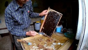 Инновационная вилка культиватор