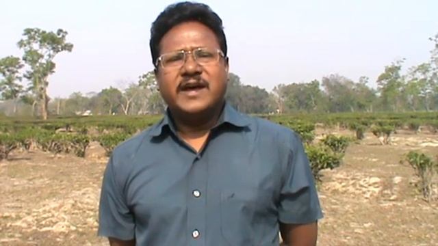 Grants 2014: PAJHRA intro to Maternal Health Services for Tea Garden Workers in Assam