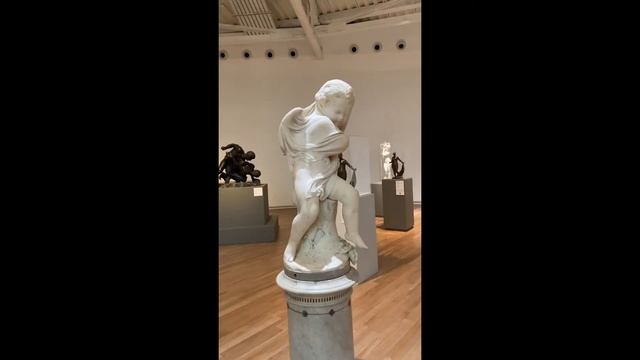Visitando al Museo Soumaya en la cdmx смотреть онлайн