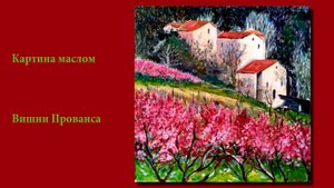 Цветушие вишни Прованса| The cherry blossoms of Provence