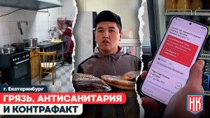 ШАУРМИЧНАЯ НА ГРИБОЕДОВА: НИ ТУАЛЕТА, НИ ДОКУМЕНТОВ, НИ САНИТАРИИ