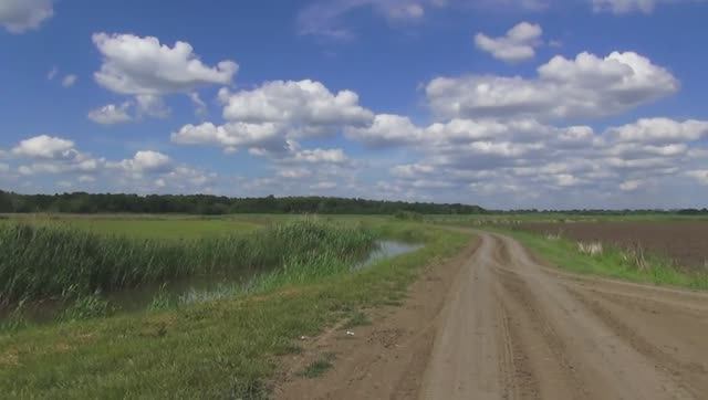 Вело поход на разведку леса смотреть онлайн