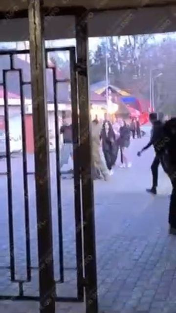 Украинский не доброволец.