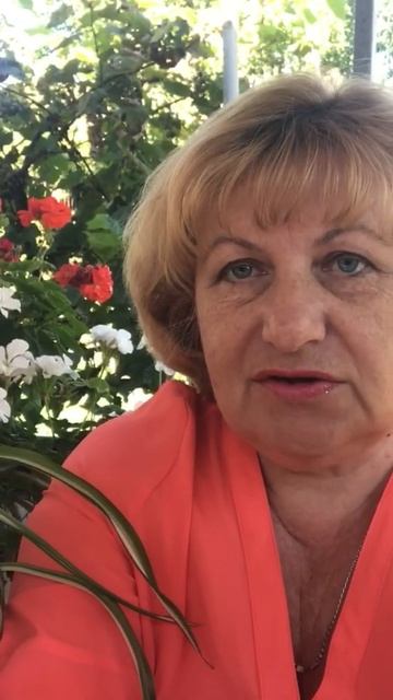 Террариум с растениями#short смотреть онлайн